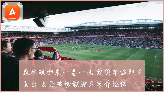 森林狼迎来一喜一忧 爱德华兹即将复出 麦丹确诊髌腱炎及骨挫伤
