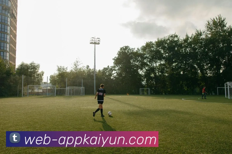 开云平台展示图